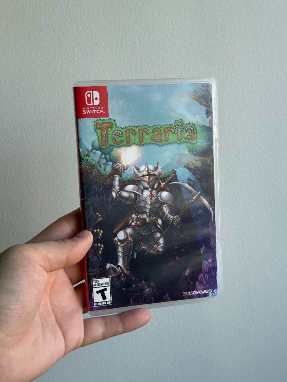 Nintendo Switch Terraria Game